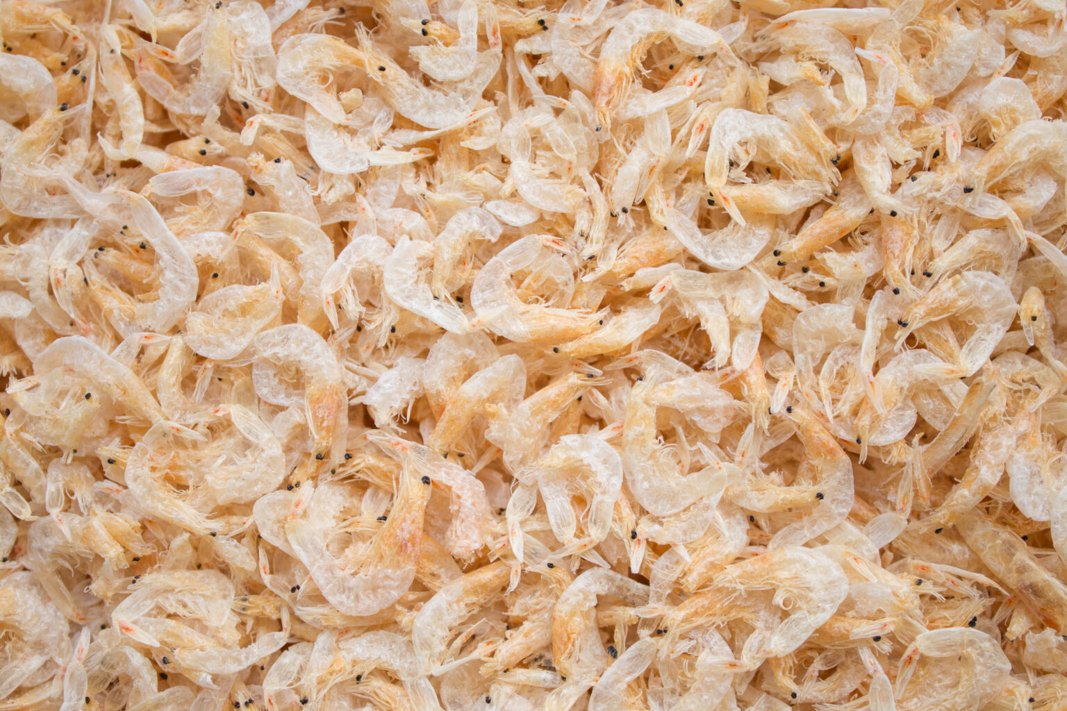 Dried Krill Shrimp (boiled/unboiled) Saky Foods Corporation