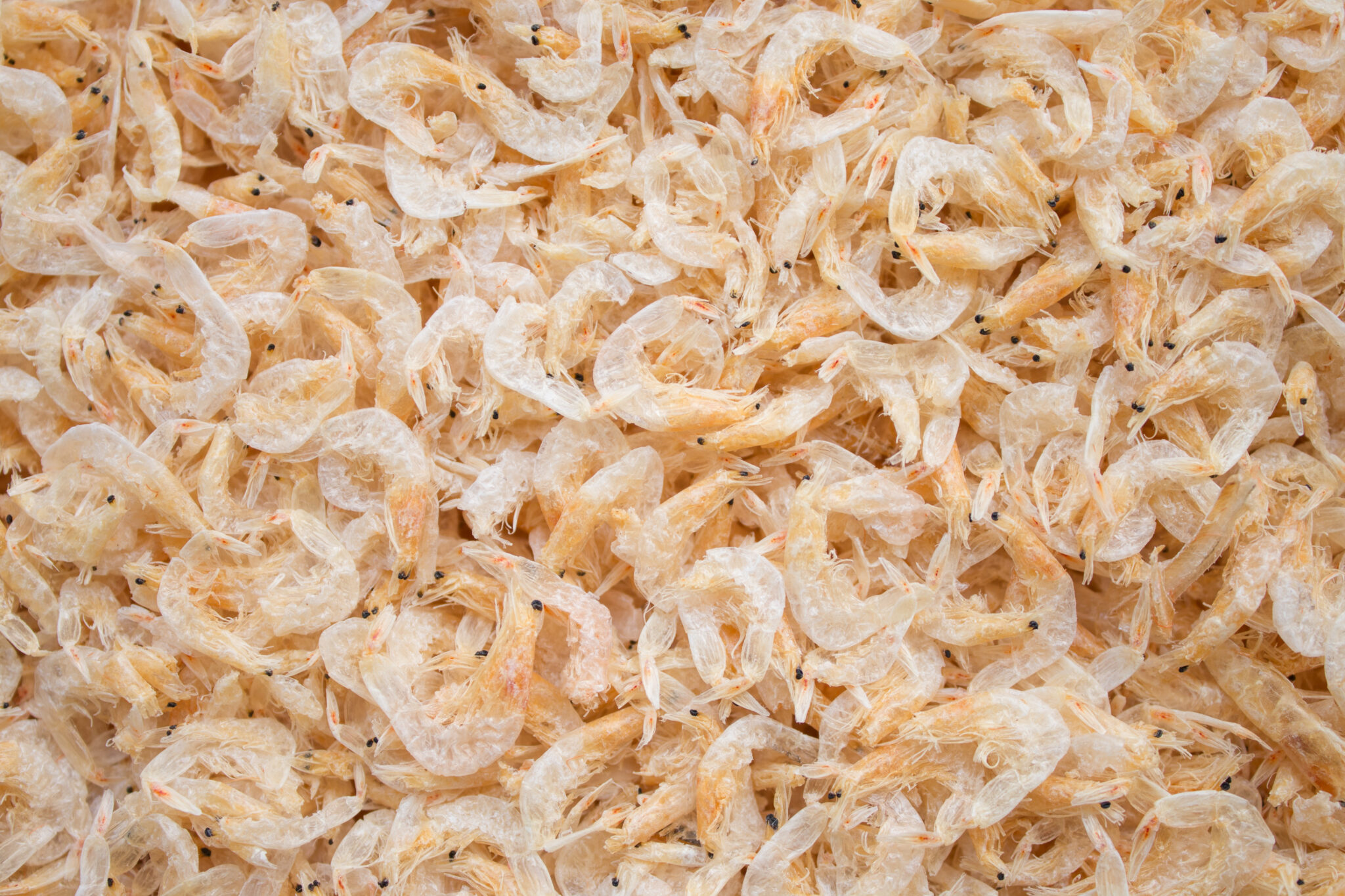 Dried Krill Shrimp (boiled/unboiled) Saky Foods Corporation