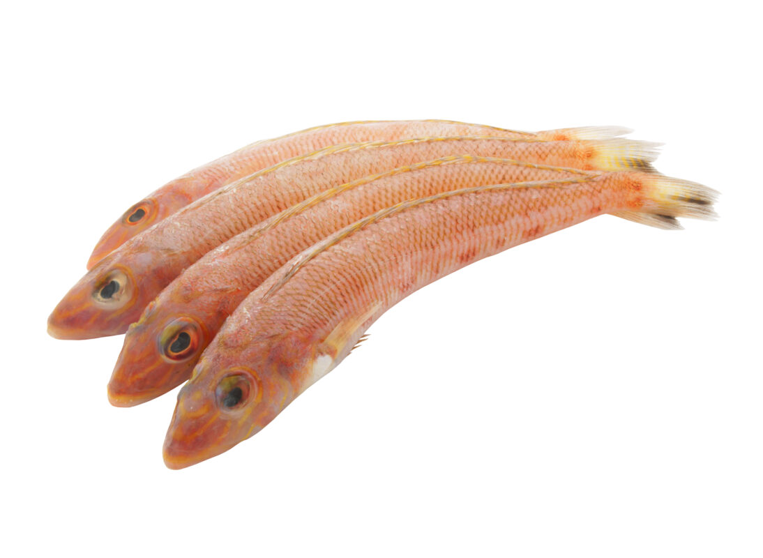 Spiny Goby Fish Saky Foods Corporation
