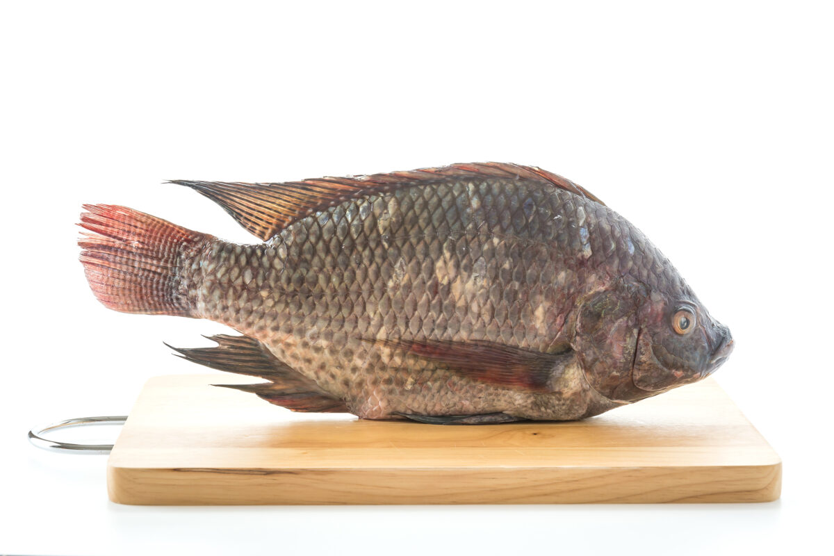 Black Tilapia Saky Foods Corporation