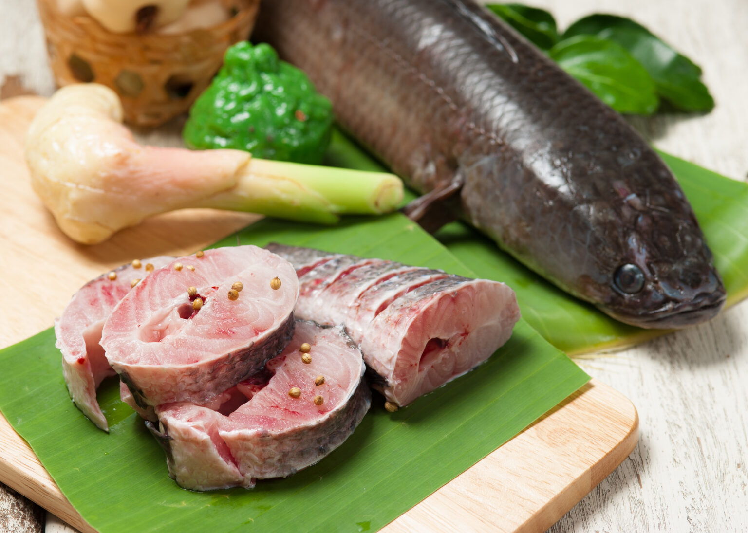 Steak cá lóc | Snakehead Fish Steak | Steak cá lóc thơm ngon – món ăn ...