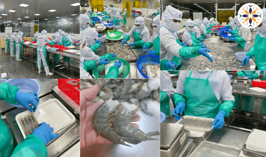 SHRIMP-EXPORTS-TO-OPEN-2024-WILL-INCREASE-BY-71-OPPORTUNITIES-AND-CHALLENGES