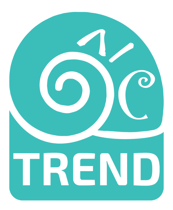Home 60 logo octrend 02
