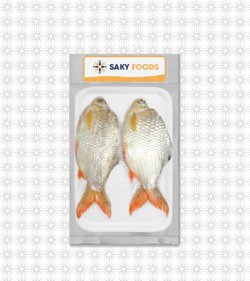 Cá He Nguyên Con (Riverbarb Fish)