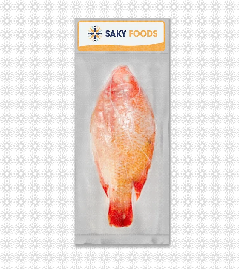 Cá Hồng Nguyên Con (Red Snapper)