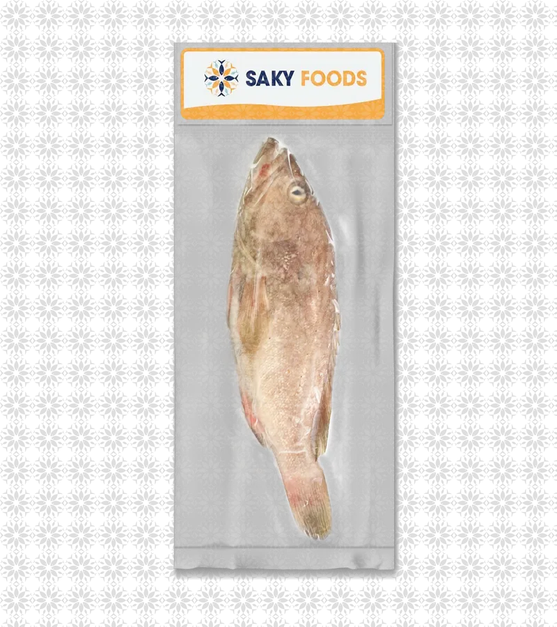 Cá Mú Nguyên Con (Frz Grouper) | Saky Foods 3 Cá Mú Nguyên Con (Frz Grouper)