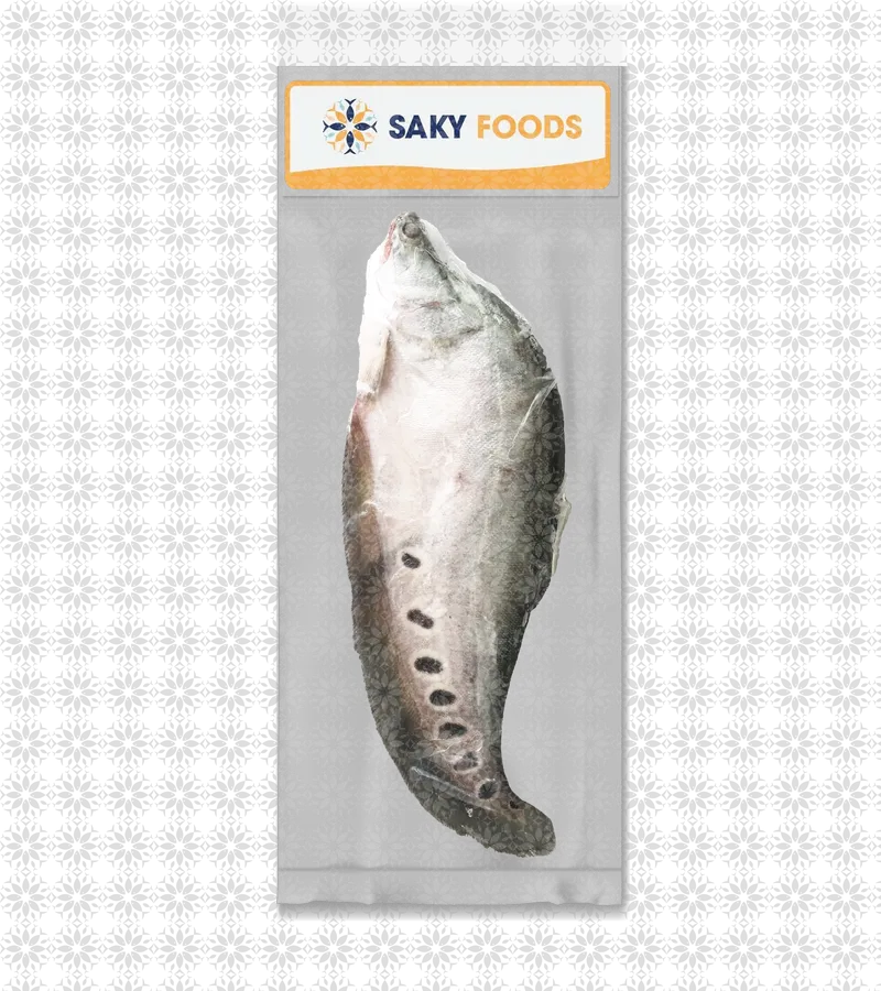 Cá Thát Lát Nguyên Con (Featherback Fish)